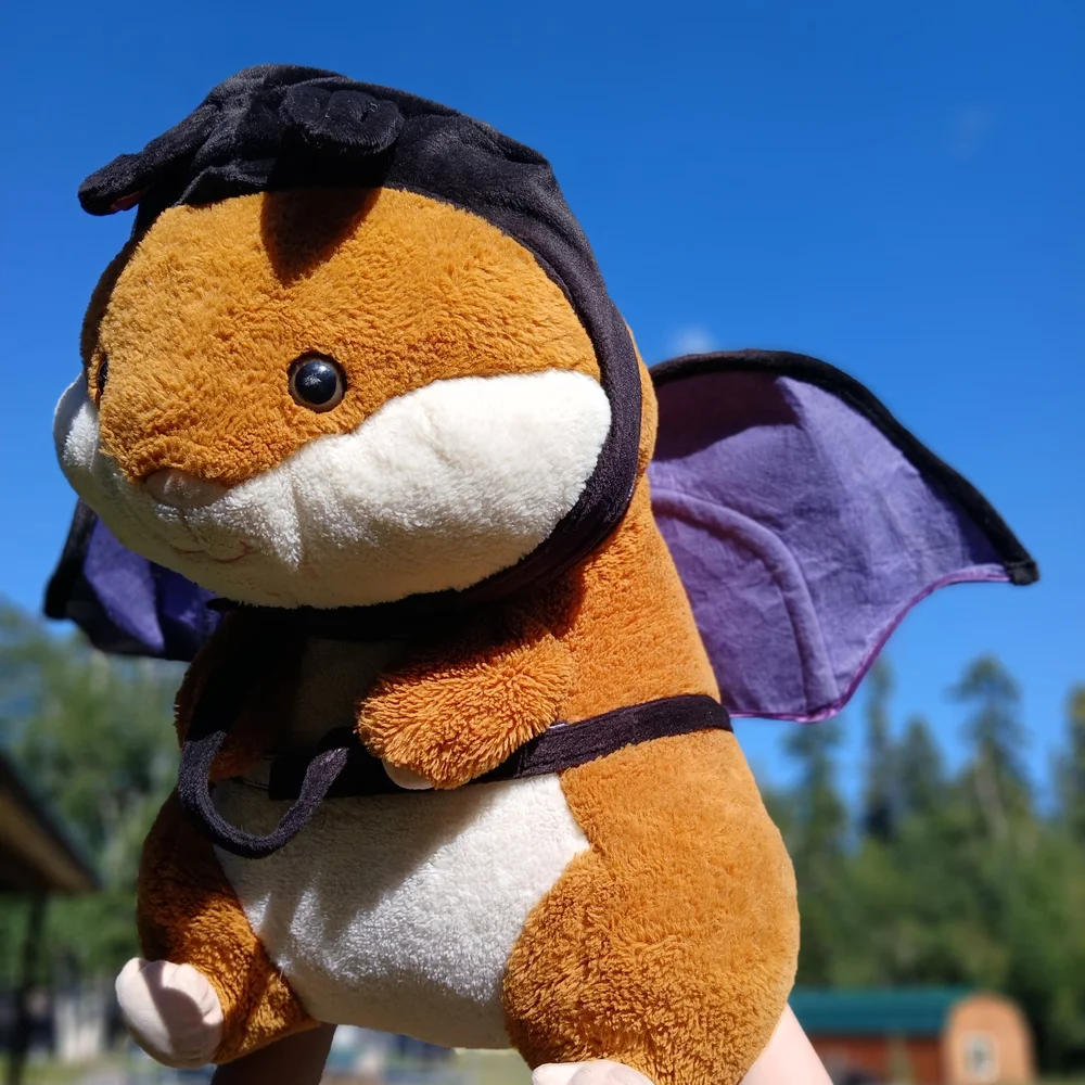 Pet costume adorable bat